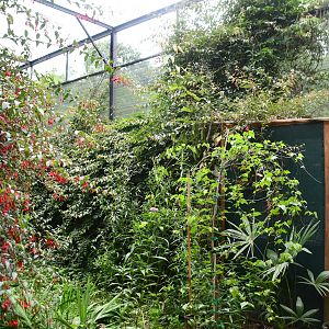 Butterfly/Hummingbird aviary