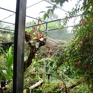 Butterfly/Hummingbird aviary