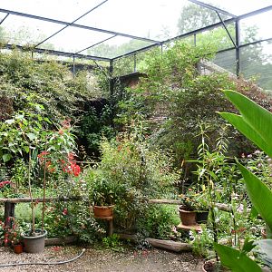 Butterfly/Hummingbird aviary