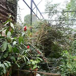 Butterfly/Hummingbird aviary