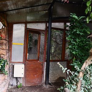 Hummingbird separation room