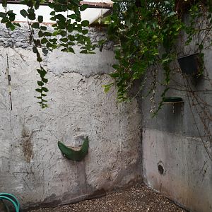 Hummingbird separation room