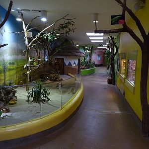 Lion House: General view