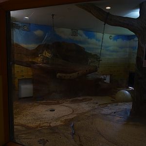 Lion House: Lion indoor enclosure