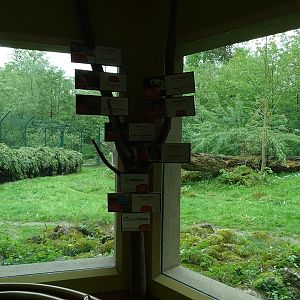 Lion house: Viewing into lion enclosure