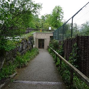 Entrance to lion house with lion enclosure on the right