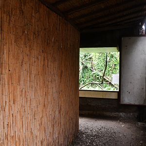 Birds of Paradise hallway