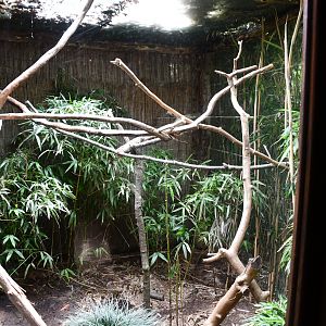 empty and unsigned exhibit (Birds of Paradise section)