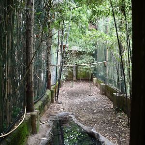 Purple Heron exhibit