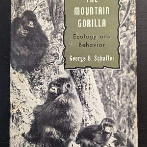 The Mountain Gorilla: Ecology and Behavior
