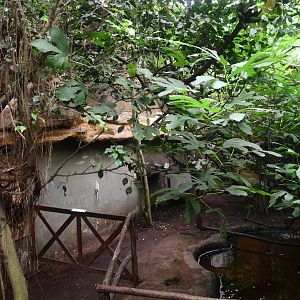 Sloth walk-through exhibit
