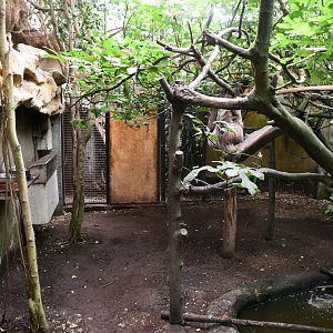 Sloth walk-through exhibit