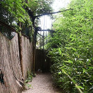 Red-legged Seriema/Glossy Ibis aviary