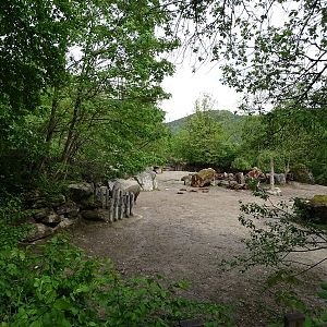 White rhino enclosure