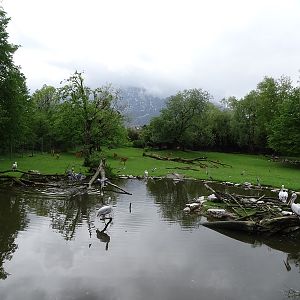Sitatunga and waterfowl enclosure
