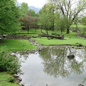 Sitatunga and waterfowl enclosure
