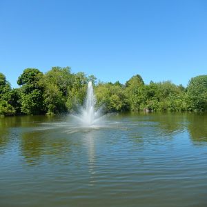 5/25/2024 - Beautiful Fountain Scene