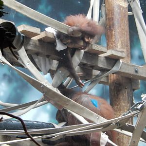 6/23/2024 - Whatcha Doing, Ma?