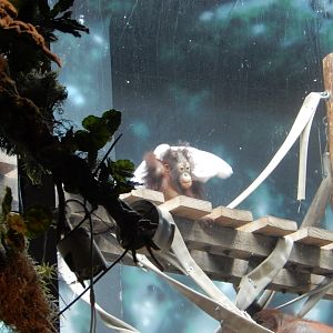 6/23/2024 - Peek-a-Boo!