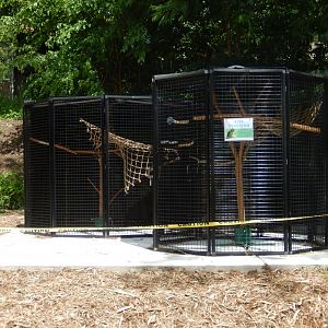 6/23/2024 - Bird Bungalow