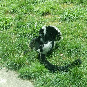 6/23/2024 - Just a Little Itch...