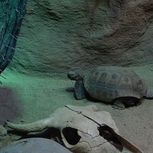 6/23/2024 - On a Journey...