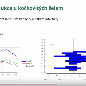 Fishing cat EEP population in 2022