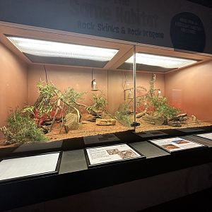 2 Reptile enclosures in the reptile house
