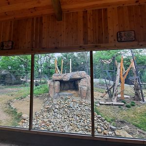 Sloth/Andean Bear Exhibit