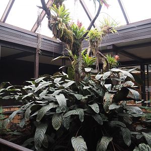 View in Pukara, 2024-05-22