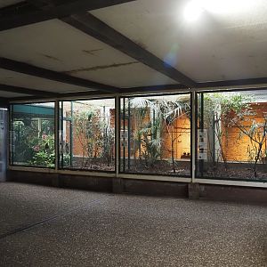 Aviaries in Pukara, 2024-05-22