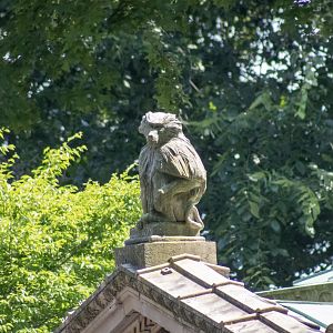 Historic Monkey House Art