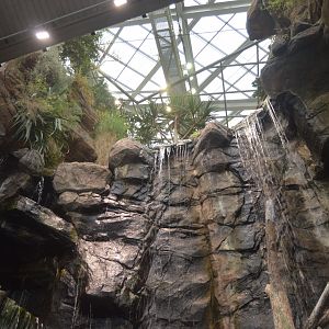 Australia Pavilion - Maryland Waterfall