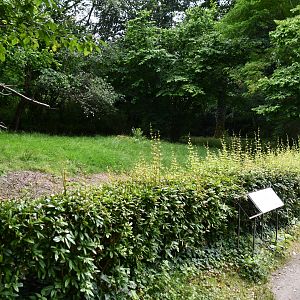 Darwin's Rhea exhibit