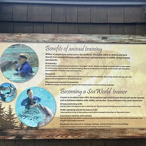 Dolphin Training Signage