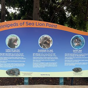 Sea Lion Point Signage