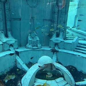 Atlantis Aquarium