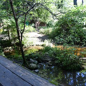 Asian Small-clawed Otter exhibit