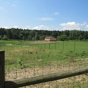White-bearded Wildebeest and Blackbuck Exhibits.