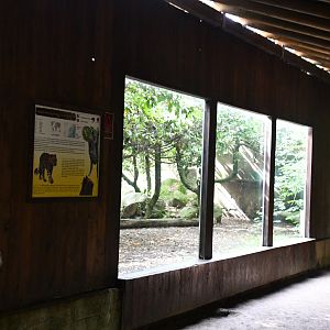 first of two Amur Leopard exhibits