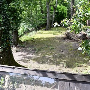 Capybara exhibit