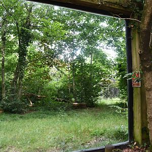 larger of the two Snow Leopard exhibits