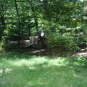 larger of the two Snow Leopard exhibits