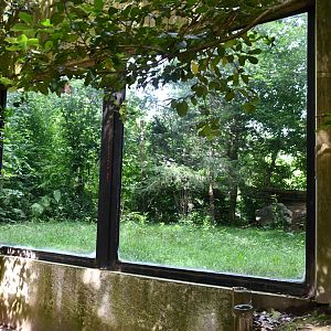 larger of the two Snow Leopard exhibits