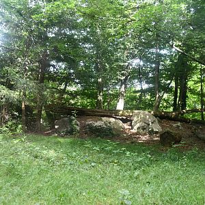 larger of the two Snow Leopard exhibits