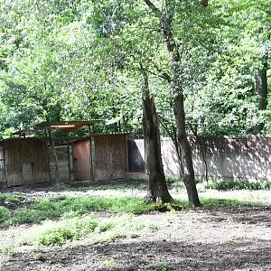 first of two Siberian Wapiti exhibits