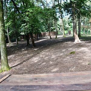 main Siberian Wapiti exhibit