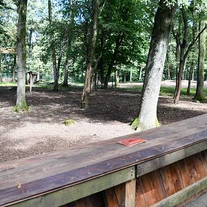 main Siberian Wapiti exhibit
