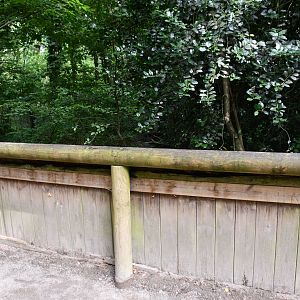 Eurasian Otter exhibit