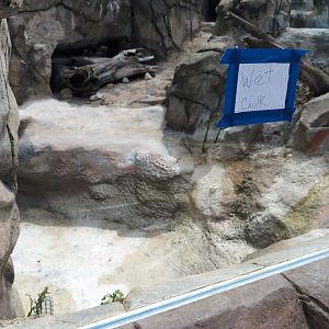 2024-07-09-vilas-otter-01